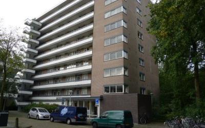 Bolestein 258