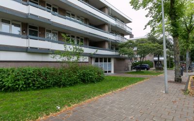 Bolestein 754