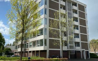 Van Boshuizenstraat 519