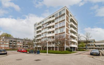 Van Boshuiz. 599