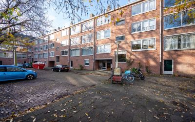 Rietnesse 13-H