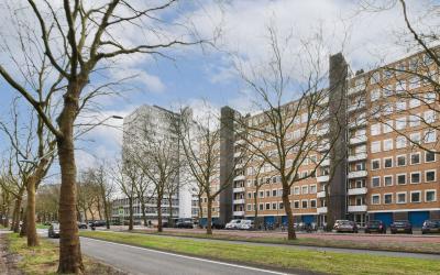 Van Nijenrodeweg 456