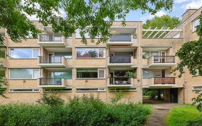 Gijsbrecht. 203