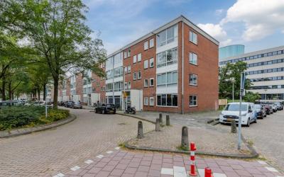 Asingaborg 8