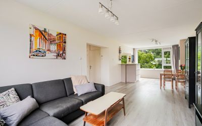 Wedderborg 61