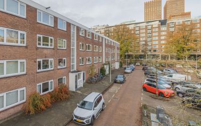 Wedderborg 38