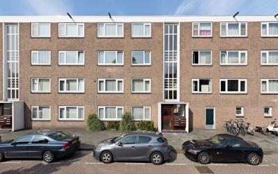 Wedderborg 40