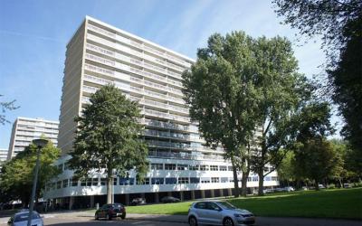 Weerdestein 29