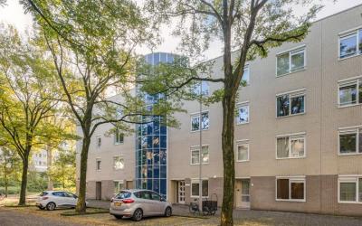 Matenesse-h. 8