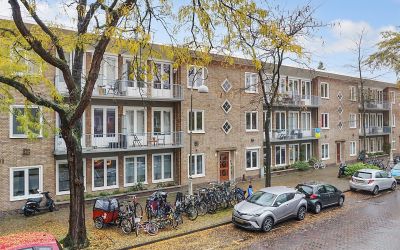 Linnaeuspar. 238-2