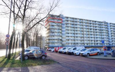 Hofgeest 38