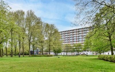 Haag en Veld 243
