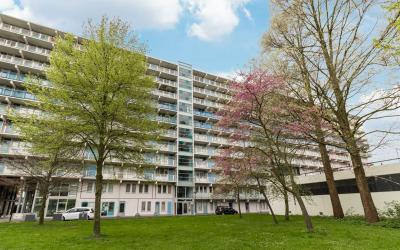 Hogevecht 212