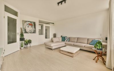 Bernard Sha. 262