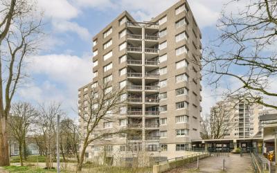 Gouden Leeuw 149