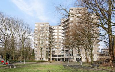 Gouden Leeuw 213