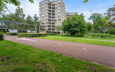 Gouden Leeuw 351