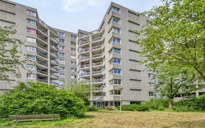 Gouden Leeuw 405