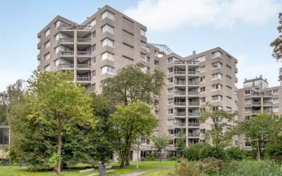 Gouden Leeuw 441