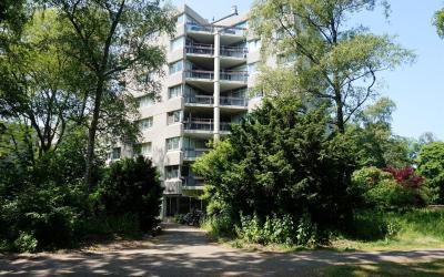 Gouden Leeuw 1010