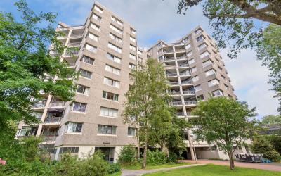 Groenhoven 234