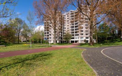 Groenhoven 238