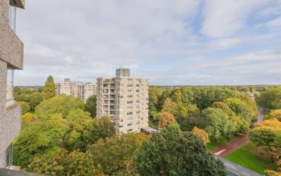 Groenhoven 259