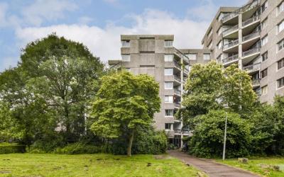 Groenhoven 520