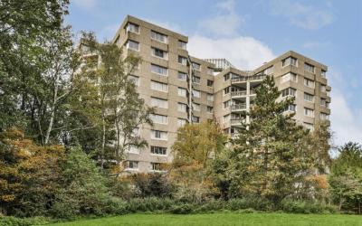 Groenhoven 823