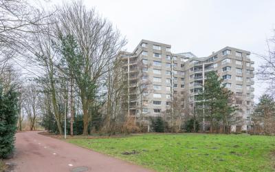Groenhoven 832