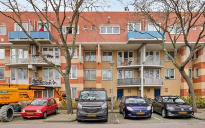 Kolfschoten. 242