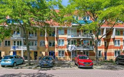 Kolfschoten. 282