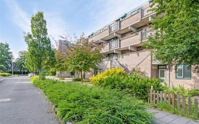 Peursumstra. 66