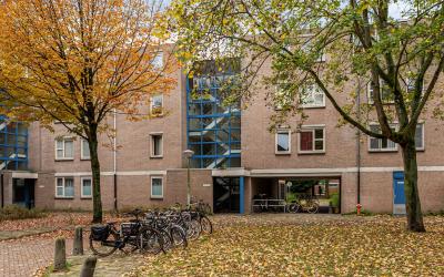 Wamelstraat 35