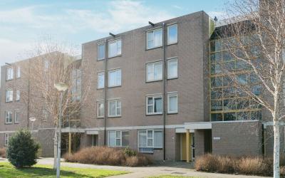 Wamelplein 31
