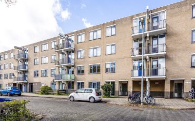 Scherpenzee. 103
