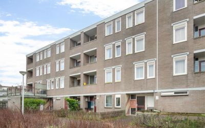 Westbroekst. 16