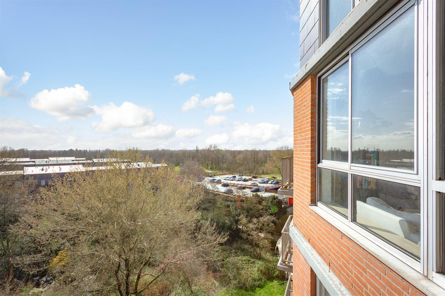 Appartement te koop: Leerdamhof 91, Amsterdam