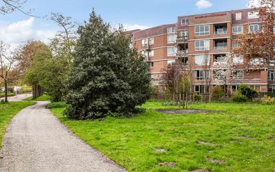 Leerdamhof 249