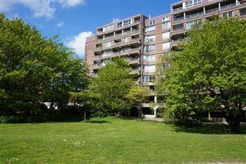 Leerdamhof 369