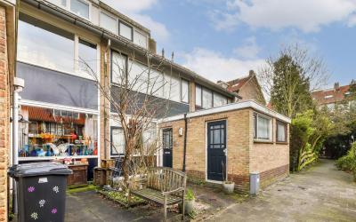 Oranjeplant. 58