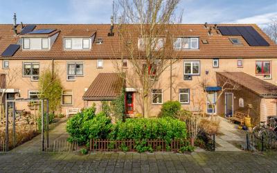 Slijkschelp 20