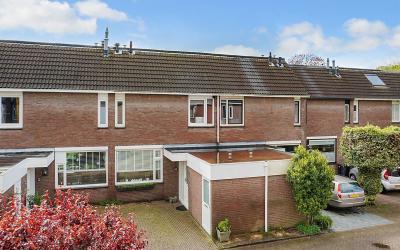 Boekweitdonk 7
