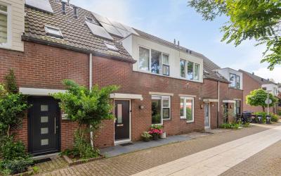 Pijlkruid 21