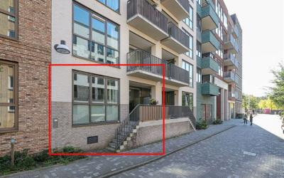 Carel Willi. 703