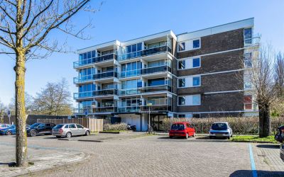 Parnassiave. 66