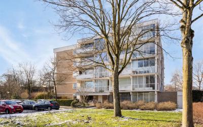 Parnassiave. 163