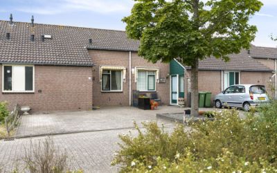 Zilverschoon 3
