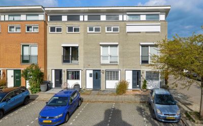Goudpluvier 13