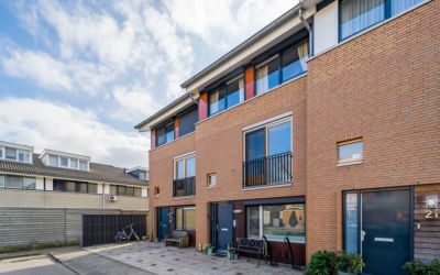 Goudpluvier 19